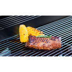 Barbacoa De Gas Con 2 Quemadores