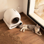 Pumba 8000 CleanKitty Smart