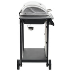 Barbacoa Portátil De Gas Con 6 Zonas Plateada Acero Inoxidable Vidaxl